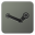 Steam