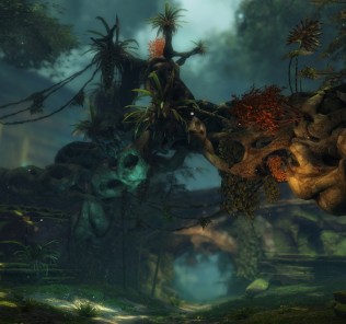 Gameplay Gameplay